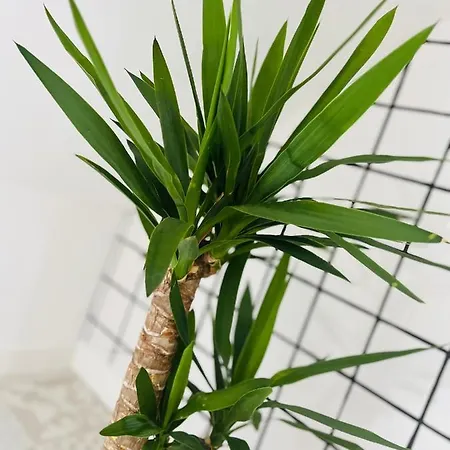 Le Vintage 70's, 4 A 6 Pers, Centre-ville * Boulogne-sur-Mer